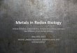 Metals’in’Redox’Biology’genomics.unl.edu/RBC_2017/COURSE_FILES/s2.pdfClassiﬁcaon’of’metal’transporters’ The’diﬀerenttransporters’can’be’grouped’into:’