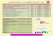 CENOVNIK - FLOWER PLANT doo 2017.pdfDipladenija - Sundevilla f10,5 cm 1,00 € 25 mm 0,35 € 35 mm 0,35 € 35 mm 0,40 € 25 mm 0,35 € Naziv: Kontejner: Cena/Kom.Cena/Kont. Ciklama