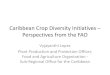 Caribbean Crop Diversity Initiatives – Perspectives from the FAO · 2012-12-19 · food and agriculture including seed systems, for increasing crop production and achieving 