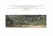 Draft conservation advice including draft listing advice ...€¦ · Conservation Act (EPBC) listed Banksia woodlands of the Swan Coastal Plain). At some locations, such as south