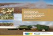 Guidelines to managing key weed species across low ... · 2 Guidelines for managing key weed species across low-rainfall regions of south-eastern Australia Guidelines for managing
