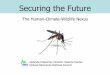 Securing the Future - BugwoodCloud · 75% of recently emerging human infectious diseases have an animal origin 80% of animal pathogens can circulate between humans ... consequences