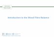 Introduction to the Wood Fibre Balance - UNECE · Introduction to the Wood Fibre Balance. National Wood Resource and Product Balances workshop 2 History and Background 2008 Workshop