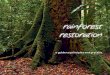 rainforest restoration - Amazon Web Services... · on local ecology such as invading adjoining natural forest or grassland habitats (e. g., Acacia auriculiformis, A. mearnsii), depleting