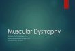Muscular Dystrophy - Upstate Medical University · muscular dystrophy showing calf hypertrophy evaluated from posterior view (A) and from lateral view, further accentuated by standing
