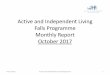 Active and Independent Living Falls Programme Monthly Report … · 07/11/2017 Active and Independent Living Programme 4 To AHPs Community falls assessment and rehabilitation staff