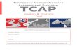 Tennessee Comprehensive Assessment Program TCAP · nglish IIPractice Test Tennessee Comprehensive Assessment ProgramTCAP tdent Name Teacher Name chool istrict Please PRINT all information