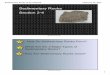 Sedimentary Rocks (2-4).notebook - Ms. …mssandersonscienceroom.weebly.com/uploads/6/8/9/1/...Sedimentary Rocks (2 4).notebook 7 February 02, 2015 Feb 2 2:33 PM Lesson 4 Sedimentary