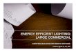 ENERGY EFFICIENT LIGHTING: LARGE COMMERCIAL · 2016-05-18 · LIGHTING RETROFIT: COMMERCIAL| 43 Frank Agraz is a principal owner at Maneri~Agraz, LLC, a national turn-key lighting