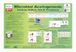 Microbial Acetogenesis - CMC · methanogenesis. 3) Acetogenesis is promoted by greater nitrogen and trace metal availability. 4) Microbial growth can occur in the presence of CaCO
