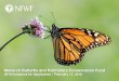 Monarch Butterfly and Pollinators Conservation Fund...Monarch Butterfly and Pollinators Conservation Fund ... profit) • GAAP Audited Financial Statements • IRS Form 990 (if a non-profit)