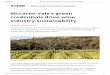 industry sustainability credentials drive wine …...Vale Grape and Wine Tourism Association (MVGWTA), the program consolidates McLaren Vale’s green credentials drive wine industry