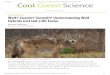 NATURETECH Wolf? Coyote? Coywolf? Understanding Wolf ... Following extermination of wild canids in the