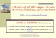 Asbestos of all fibre-types: decades of science, influence, deceit … · 2013-04-11 · 1 Asbestos of all fibre-types: decades of science, influence, deceit and harm URL: Colin L