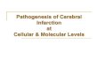 Pathogenesis of Cerebral Infarction at Cellular ...ksumsc.com/download_center/2nd/1- Neuropsychiatry...Cell death mechanisms in cerebral ischemia: Necrosis and Apoptosis Necrosis is