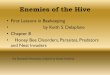 Enemies of the Hive - Wake County Beekeepers …...2018/02/16  · Enemies of the Hive •First Lessons in Beekeeping • by Keith S. Delaplane •Chapter 8 • Honey Bee Disorders,