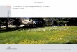 Anders Often · 2012-04-26 · NINA Rapport 751 3 Sammendrag Often, A. 2011. Planter i Slottsparken, Oslo. - NINA Rapport 751. 47 s. Sommer og høst 2011, på oppdrag for Det kongelige