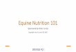 Equine Nutrition 101 - Horse Council BC – Horse Council BC · 2020-02-06 · Protein can also be a source of energy in a horse's diet but only ... protein isn't really harmful to