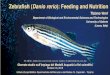 Zebrafish (Danio rerio): Feeding and Nutrition...Koven and Schulte, Fish. Physiol. Biochem. 38:1565 (2013) zebrafish Not only Pept1 but also Slc6a19a responds to fasting and refeeding