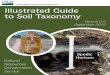 vapss.orgvapss.org/uploads/Illustrated_Guide_to_Soil_Taxonomy.pdf · 2019-10-01 · i Foreword. The “Illustrated Guide to Soil Taxonomy” is intended for use by multiple audiences