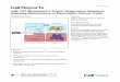 miR-137 Modulates a Tumor Suppressor Network-Inducing ...€¦ · Cell Reports Article miR-137 Modulates a Tumor Suppressor Network-Inducing Senescence in Pancreatic Cancer Cells