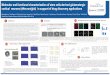 Molecular and functional characterization of stem cells ... · Molecular and functional characterization of stem cells-derived glutamatergic cortical neurons (eNeuron/glut) in support
