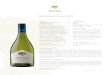 Sauvignon Blanc 2019 - arboledawines · Sauvignon Blanc 2019 Service Suggestions Best served at 12ºC. Origin Appellation: Aconcagua Costa Vineyard: Chilhué Location: Quillota Composition