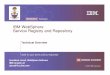 IBM WebSphere Service Registry and Repositoryjacobsen/courses/ece1770/... · 2007-03-02 · IBM WebSphere Service Registry and Repository Capabilities Publish and find… Services