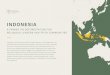 INDONESIA · 2020-03-11 · INDONESIA'S FORESTS ARE A SACRED TRUST Country Primer: Indonesia Pg. 2 Indonesia is blessed with extensive and biologically rich forests. Its tropical