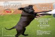 CRITTER CHATTER MAGAZINEspcawake.org/wp-content/uploads/2017/04/CritterChatterSpring_2017.pdfanimals needing shelter services in the future were prevented! 11) Social Superstars The