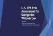 USEPA Risk Assessment for Sterigenics- Willowbrook...USPEA Subject US EPA Risk Assessment for Sterigenics Willowbrook - Presentation for Public Meeting 5.29.19` Keywords Ethylene oxide,