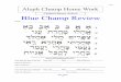 Chabad Hebrew School Blue Champ Review HW sheets #1.pdf · Blue Aleph 12 Name _____ Be sure to check out our Chabad Hebrew School photos on our website Aleph Champ Home Work Chabad
