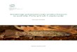 Istraživanje prisutnosti crnke (Umbra krameri na području Parka … · 2019-06-05 · Istraživanje prisutnosti crnke (Umbra krameri) na području Parka prirode Lonjsko polje 18