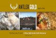 Wilding Lake Project: A New High Grade Gold Discoveryantlergold.com/files/Corporate_Presentation_20190418_final.pdfApr 18, 2019  · Insider Ownership (incl Altius at 18%): 45 ,691