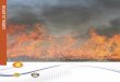 Protect Your Property from Wildfire · 6 PRoteCt yoUR PRoPeRty fRom wIldfIRe design also play an important role. take a careful look at your roof. If you have a lot of ridges and