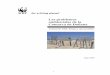 Los problemas ambientales de la Comarca de Doñana...Desde el año 2002, WWF/Adena ha recogido datos sobre los problemas ambientales que afectan a Doñana, sus orígenes y sus consecuencias