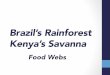 Brazil’s Rainforest Kenya’s Savanna - Middle School ESLmiddleschoolesl.weebly.com/uploads/3/8/2/6/3826849/... · 2019-05-13 · Causes of Deforestation in the Brazilian Amazon,