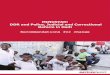MINUSTAH: DDR and Police, Judicial and Correctional Reform ... · DDR, police, judicial and correctional reform so as to ensure human security, local ... justice and correctional