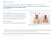 Eastern Dobsonfly (Adult), Hellgrammite (Larva) Corydalus ...edis.ifas.ufl.edu/pdffiles/IN/IN98700.pdf · EENY 414 Eastern Dobsonfly (Adult), Hellgrammite (Larva) Corydalus cornutus