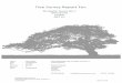 Tree Survey Report For · 2016-12-02 · Fungal Strategies of Wood Decay in Trees 2000. Schwarze F.W.M.R., Engels J. & Mattheck C. Springer Lonsdale D 1999. Research for Amenity Trees