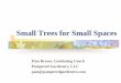 Small Trees for Small Spaces - pamperedgardeners.compamperedgardeners.com/.../smalltrees.pdf · Pindo Palm or Jelly Palm (Butia capitata) Light green to bluish-gray fronds recurved