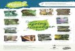 Be a real Nature Detective! Can you ﬁ nd these spring ... · Spring scavenger hunt for kids – Nature Detectives Author: Nature Detectives Woodland Trust Created Date: 20160310084953Z