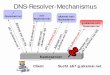 DNS-Resolver-Mechanismus · DNS-Resolver-Mechanismus Client Nameserver Sucht a67.g.akamai.net „“-Nameserver net-Nameserver akamai.net-Nameserver g.akamai.net-Nameserver. akamai