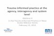 Trauma informed practice at the agency, interagency and ...€¦ · Trauma informed practice at the agency, interagency and system level Webinar 4 in the Trauma Informed Practice