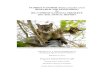 FLORIDA PANTHER (Puma concolor coryi RESEARCH AND ... · PDF file FLORIDA PANTHER (Puma concolor coryi) RESEARCH AND MONITORING IN BIG CYPRESS NATIONAL PRESERVE 2011-2012 ANNUAL REPORT