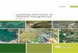 Técnica - Gob · 2018-01-22 · Contenido Fundamento Técnico Índice Capítulo 1 7 Control del Documento 9 Introducción 11 Anexos 24 Catálogo Nacional de Objetos Geográficos