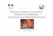 FIGHTING HARMFUL COUNTERFEIT PRODUCTS IN CAMBODIA … · projet fsp mekong . content 2 i- preliminary remarks ii- findings economical, social, natural and legal challenges the challenge