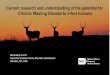 Chronic Wasting Disease in Montana · Current research and understanding of the potential for. Chronic Wasting Disease to infect humans . Brent Race D.V.M. Associate Scientist, Rocky