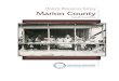 Historic Resources Survey Marion County · Marion County Historic Resource Survey Marion County, South Carolina Report submitted to: South Carolina State Historic Preservation Office