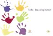Fetal Development - Diocese of Kansas City-St. Joseph ...€¦ · • Learned about fetal development • Walked with Mary on her pregnancy journey with her son Jesus • Informed